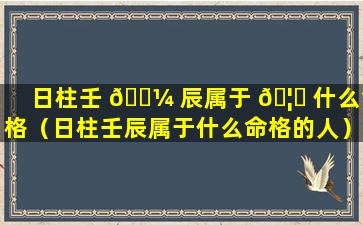 日柱壬 🌼 辰属于 🦁 什么命格（日柱壬辰属于什么命格的人）